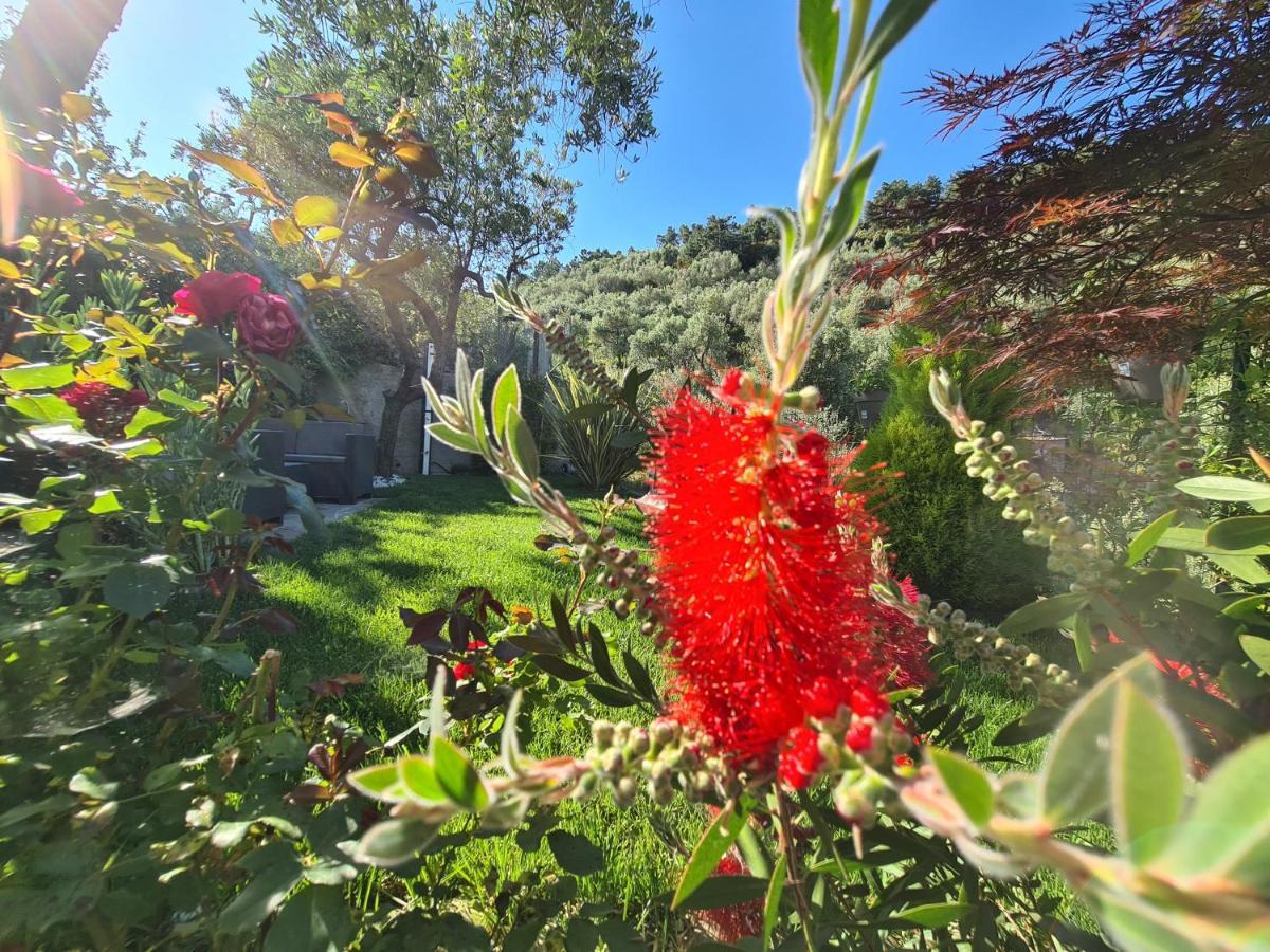 The Garden Villa Volastra Luaran gambar