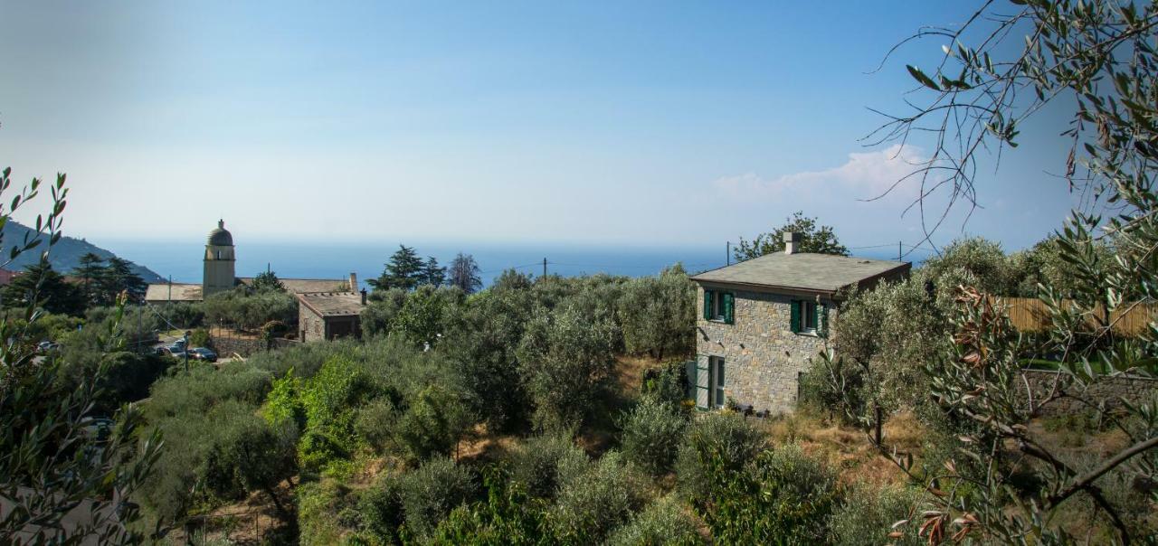 The Garden Villa Volastra Luaran gambar